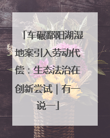 车碾鄱阳湖湿地案引入劳动代偿：生态法治在创新尝试｜有一说一