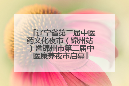 辽宁省第二届中医药文化夜市（锦州站）暨锦州市第二届中医康养夜市启幕