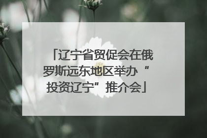 辽宁省贸促会在俄罗斯远东地区举办“投资辽宁”推介会