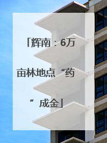 辉南：6万亩林地点“药”成金