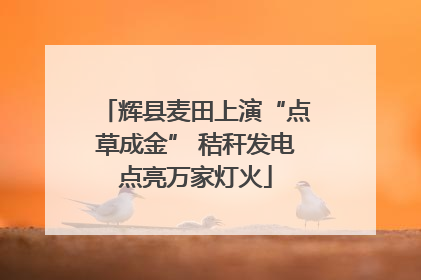 辉县麦田上演“点草成金” 秸秆发电点亮万家灯火