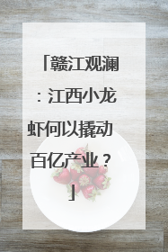 赣江观澜：江西小龙虾何以撬动百亿产业？