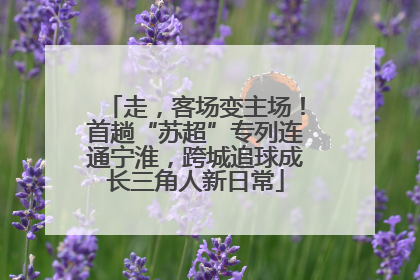 走，客场变主场！首趟“苏超”专列连通宁淮，跨城追球成长三角人新日常