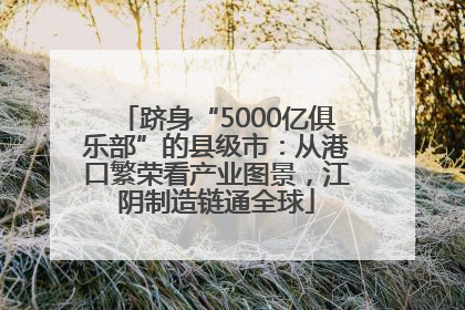 跻身“5000亿俱乐部”的县级市：从港口繁荣看产业图景，江阴制造链通全球