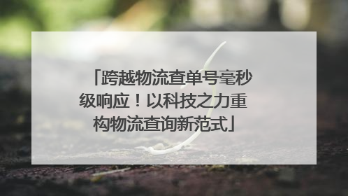 跨越物流查单号毫秒级响应！以科技之力重构物流查询新范式