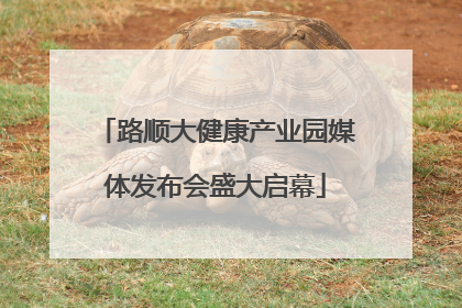 路顺大健康产业园媒体发布会盛大启幕