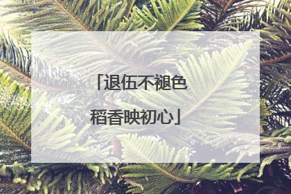 退伍不褪色 稻香映初心