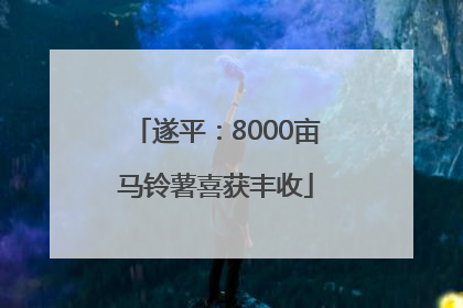 遂平：8000亩马铃薯喜获丰收