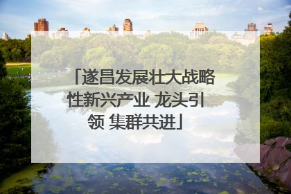 遂昌发展壮大战略性新兴产业 龙头引领 集群共进