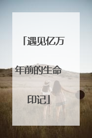 遇见亿万年前的生命印记