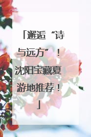 邂逅“诗与远方”！沈阳宝藏夏游地推荐！