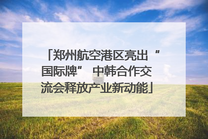 郑州航空港区亮出“国际牌” 中韩合作交流会释放产业新动能