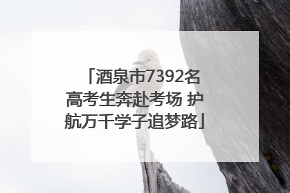 酒泉市7392名高考生奔赴考场 护航万千学子追梦路
