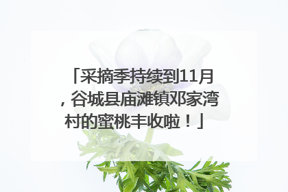 采摘季持续到11月，谷城县庙滩镇邓家湾村的蜜桃丰收啦！