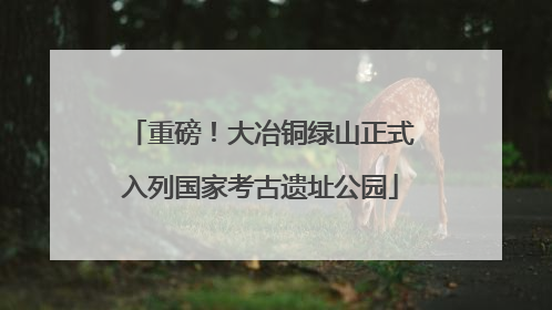 重磅！大冶铜绿山正式入列国家考古遗址公园