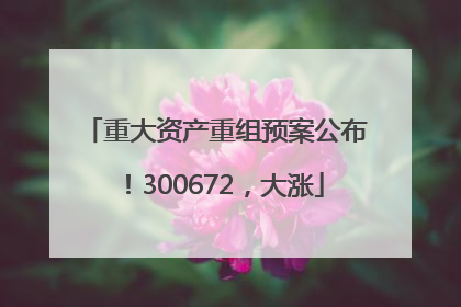 重大资产重组预案公布！300672，大涨