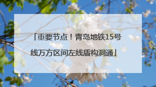 重要节点！青岛地铁15号线万方区间左线盾构洞通