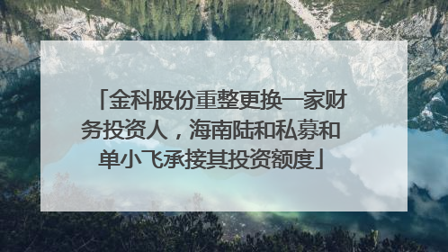 金科股份重整更换一家财务投资人，海南陆和私募和单小飞承接其投资额度