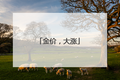 金价，大涨