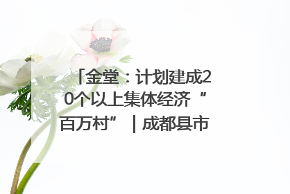 金堂：计划建成20个以上集体经济“百万村”｜成都县市新城高质量发展