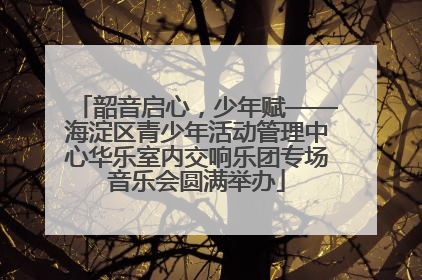 韶音启心，少年赋——海淀区青少年活动管理中心华乐室内交响乐团专场音乐会圆满举办
