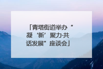 青塔街道举办“凝‘新’聚力·共话发展”座谈会