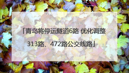 青岛将停运隧道6路 优化调整313路、472路公交线路