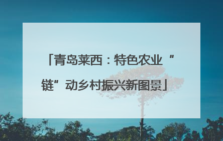 青岛莱西：特色农业“链”动乡村振兴新图景