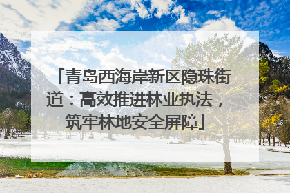 青岛西海岸新区隐珠街道：高效推进林业执法，筑牢林地安全屏障