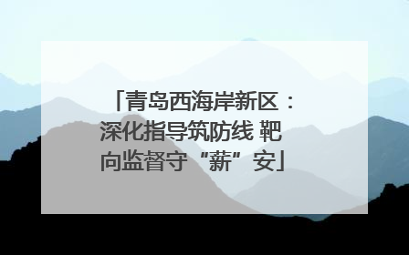 青岛西海岸新区：深化指导筑防线 靶向监督守“薪”安