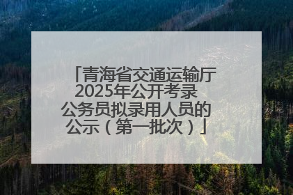青海省交通运输厅2025年公开考录公务员拟录用人员的公示（第一批次）