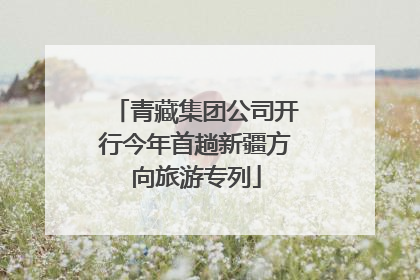 青藏集团公司开行今年首趟新疆方向旅游专列
