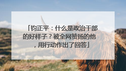 钧正平：什么是政治干部的好样子？被全网赞扬的他，用行动作出了回答