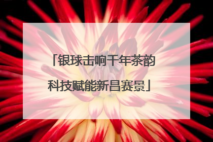 银球击响千年茶韵 科技赋能新昌赛景