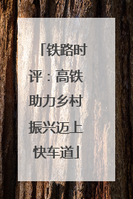 铁路时评：高铁助力乡村振兴迈上快车道