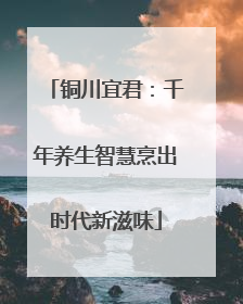 铜川宜君：千年养生智慧烹出时代新滋味