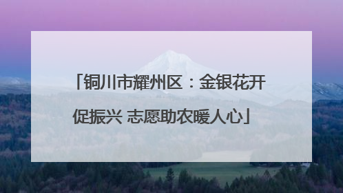 铜川市耀州区：金银花开促振兴 志愿助农暖人心