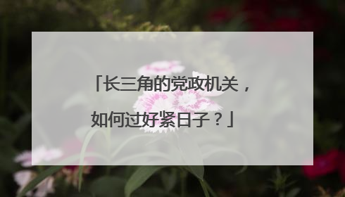 长三角的党政机关，如何过好紧日子？