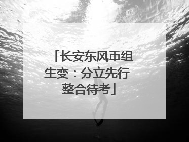 长安东风重组生变：分立先行 整合待考