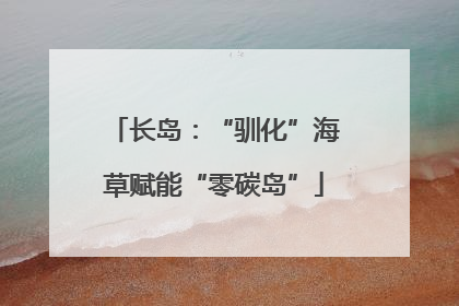 长岛：“驯化”海草赋能“零碳岛”