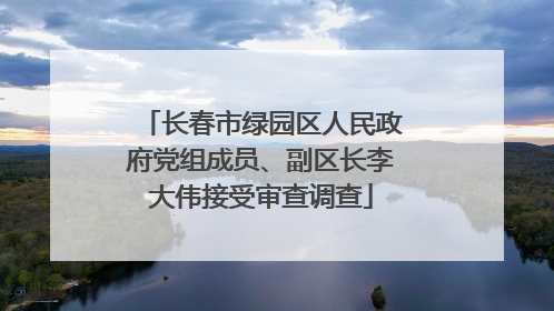 长春市绿园区人民政府党组成员、副区长李大伟接受审查调查