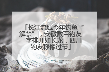 长江流域今年钓鱼“解禁”，安徽数百钓友一字排开如长龙，四川钓友称像过节