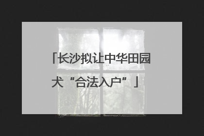 长沙拟让中华田园犬“合法入户”
