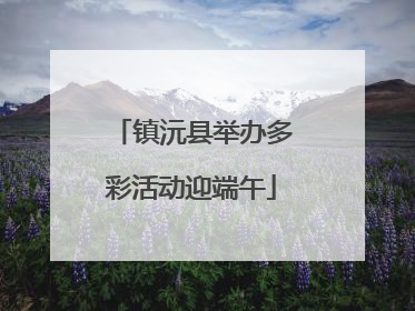 镇沅县举办多彩活动迎端午