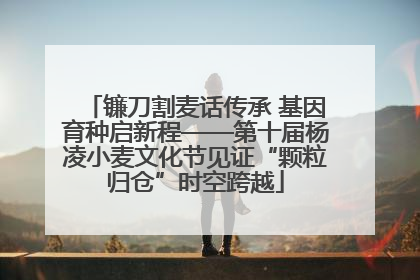 镰刀割麦话传承 基因育种启新程——第十届杨凌小麦文化节见证“颗粒归仓”时空跨越