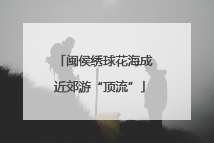 闽侯绣球花海成近郊游“顶流”