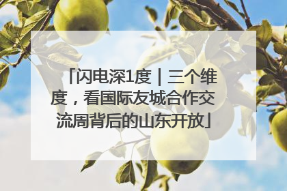 闪电深1度｜三个维度，看国际友城合作交流周背后的山东开放