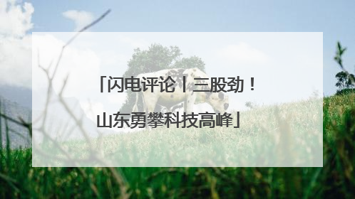 闪电评论丨三股劲！山东勇攀科技高峰