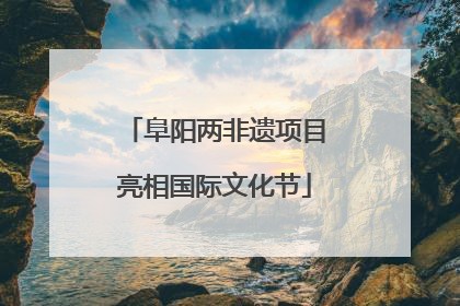 阜阳两非遗项目亮相国际文化节