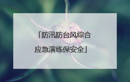 防汛防台风综合应急演练保安全